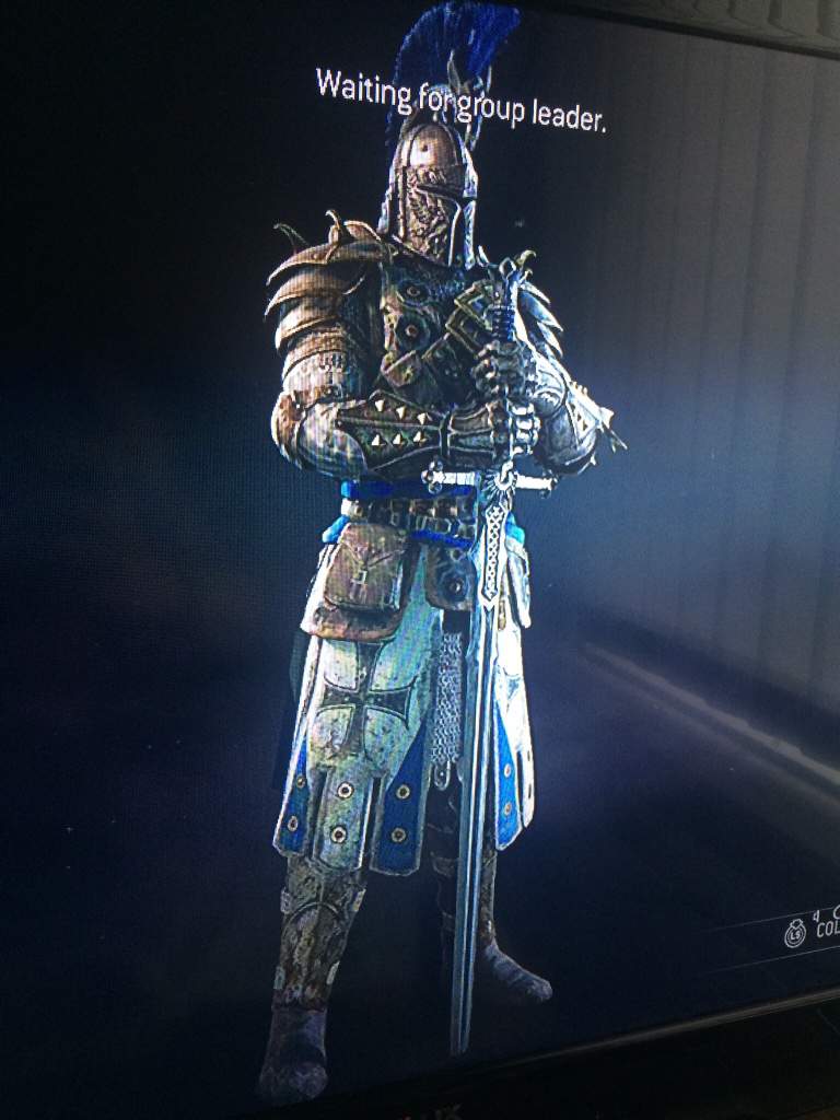 Main Warden For Honor Amino