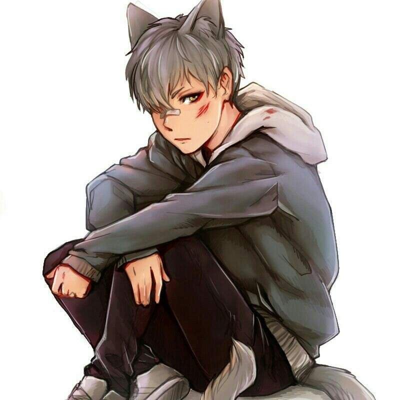 Cute anime wolf boy