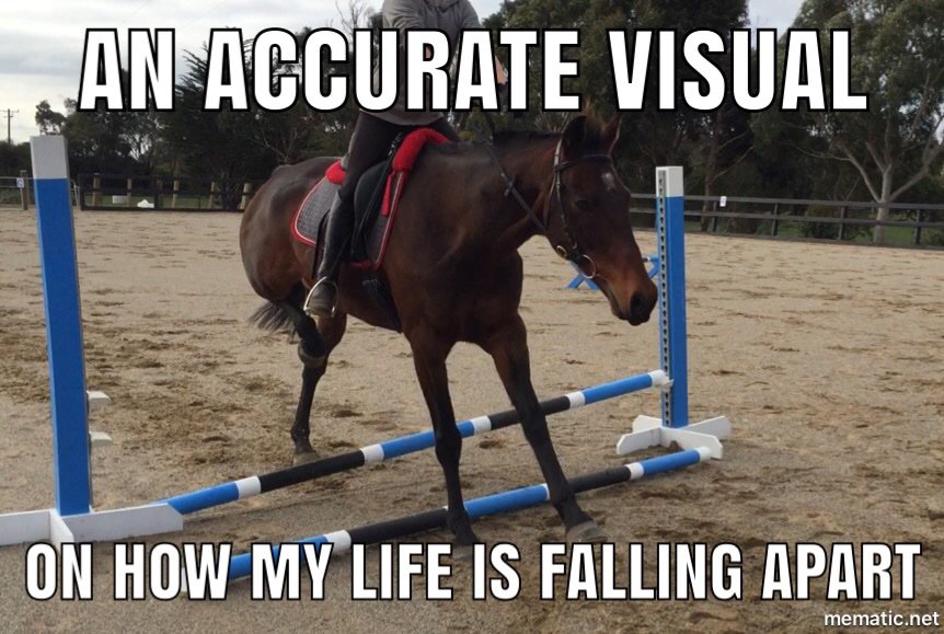 horse jumping memes