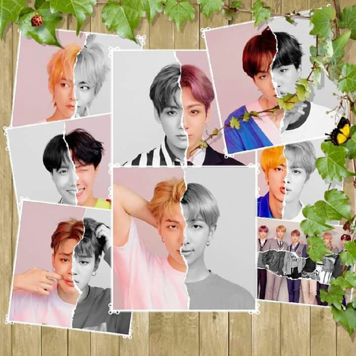 Bts Love Yourself Answer L Concept Photo Army S Amino