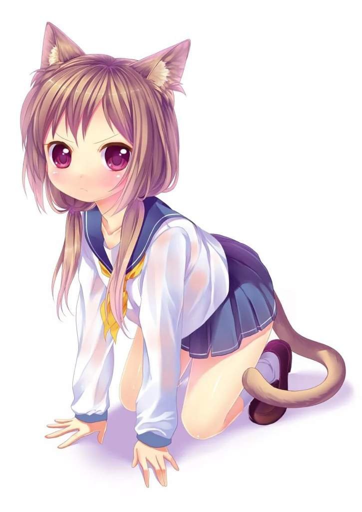 Cute anime kitty girl