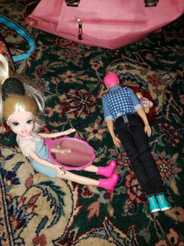 barbie and ken fighting