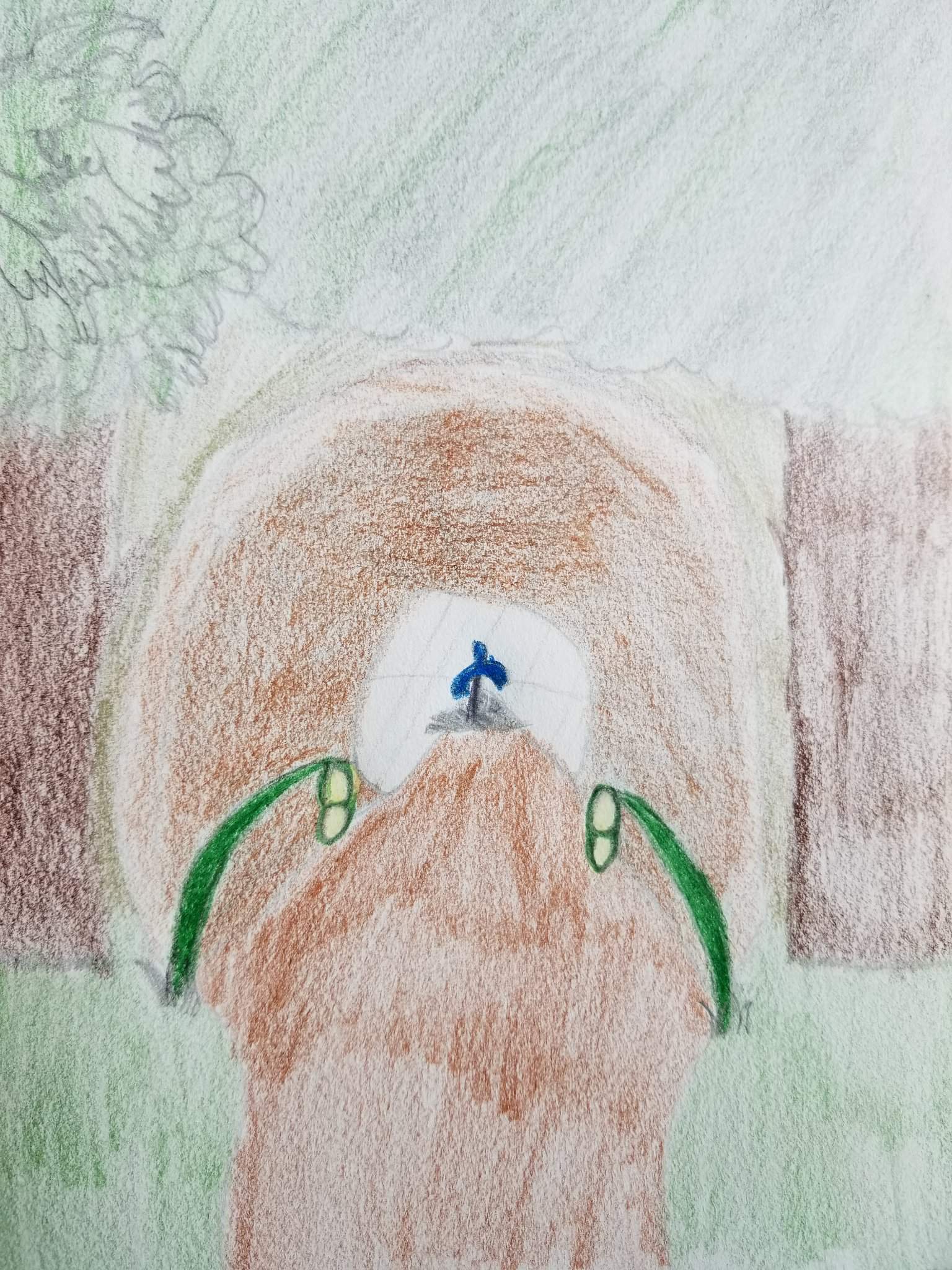 Korok Forest Drawing Zelda Amino