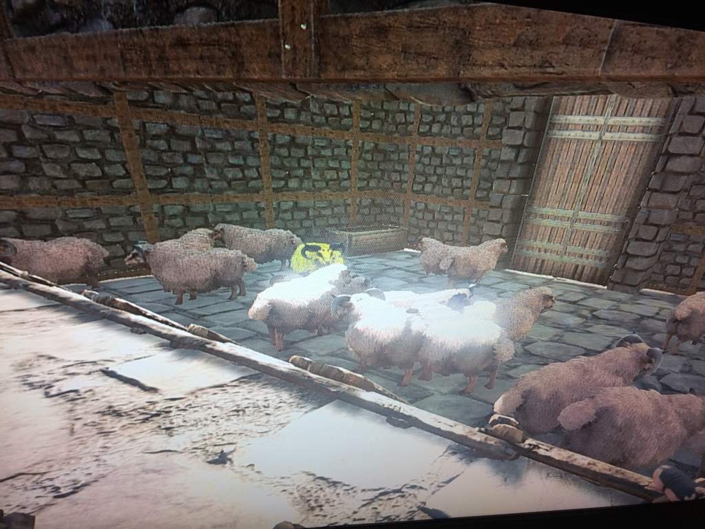 Breeding some sheep Ark Survival Evolved Amino