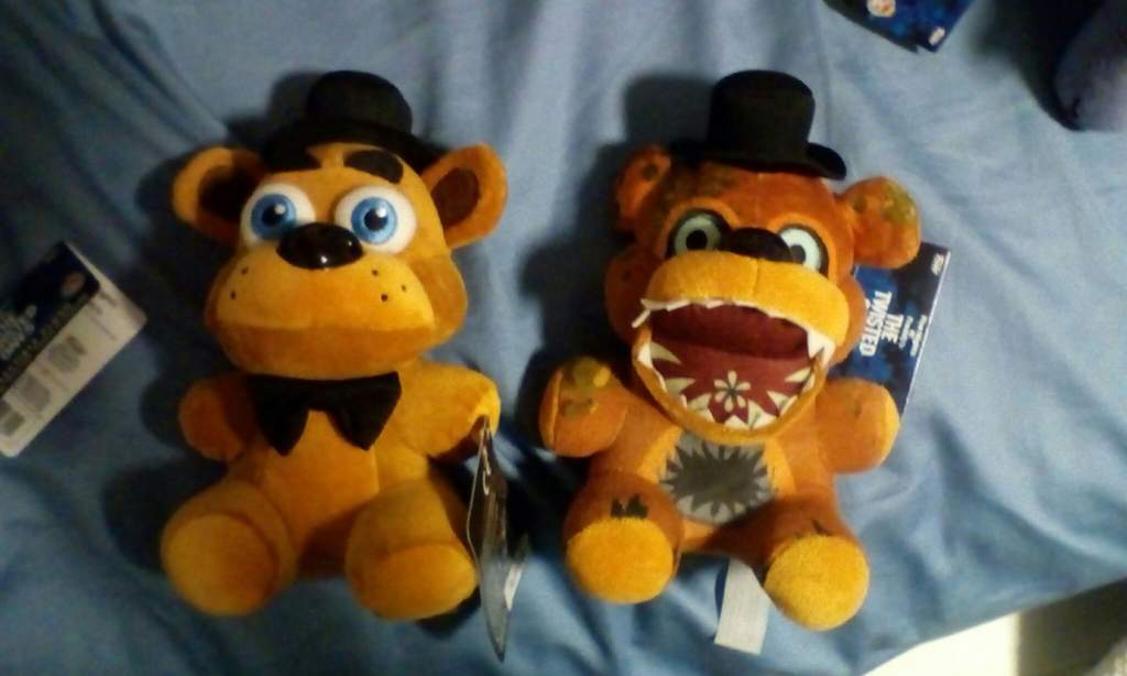 They Re Twisted Yet Cute Plush Review Five Nights At Freddy S Amino