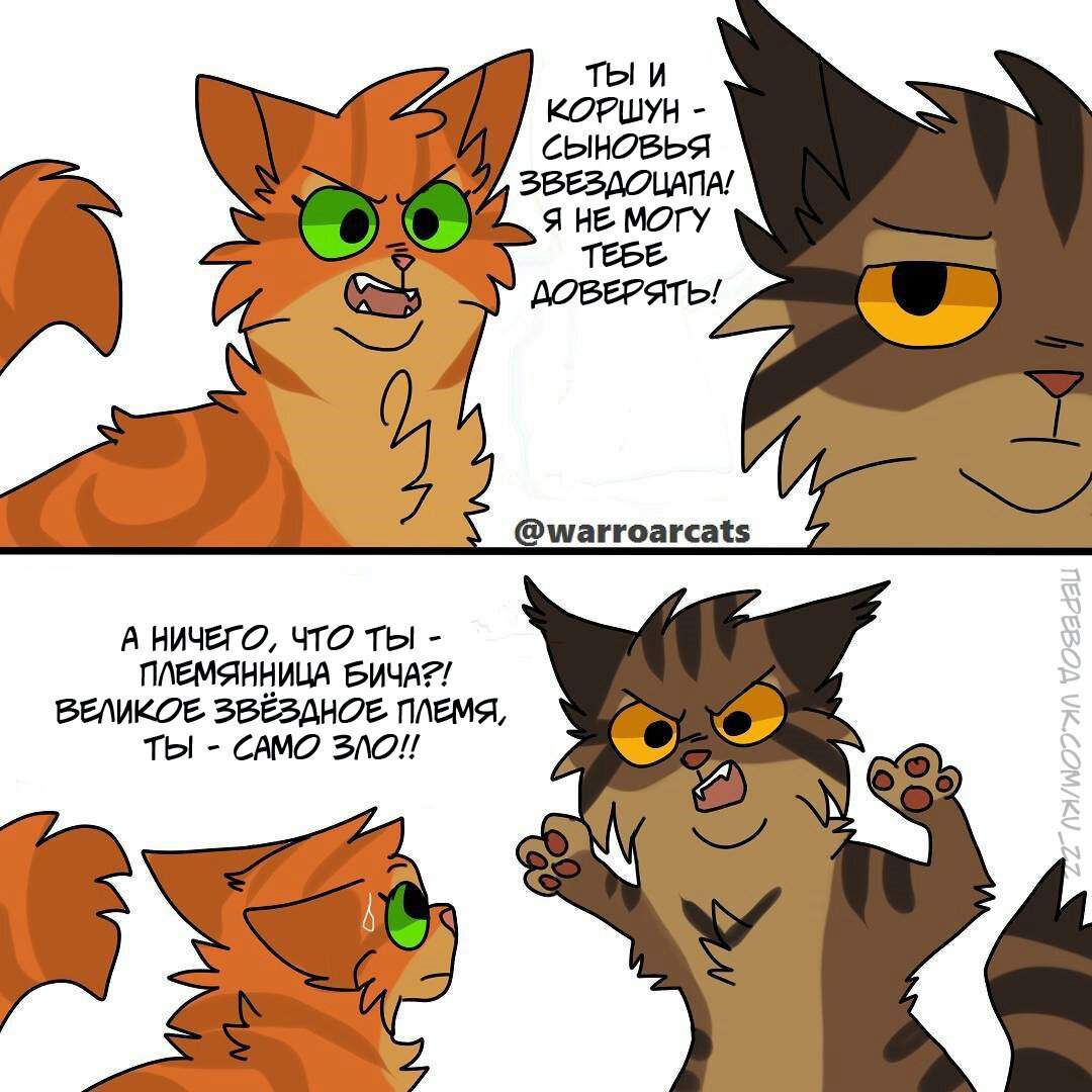 Мемы про котов