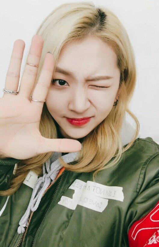 Jeon Jiwoo | Wiki | Would Idol Clan Amino
