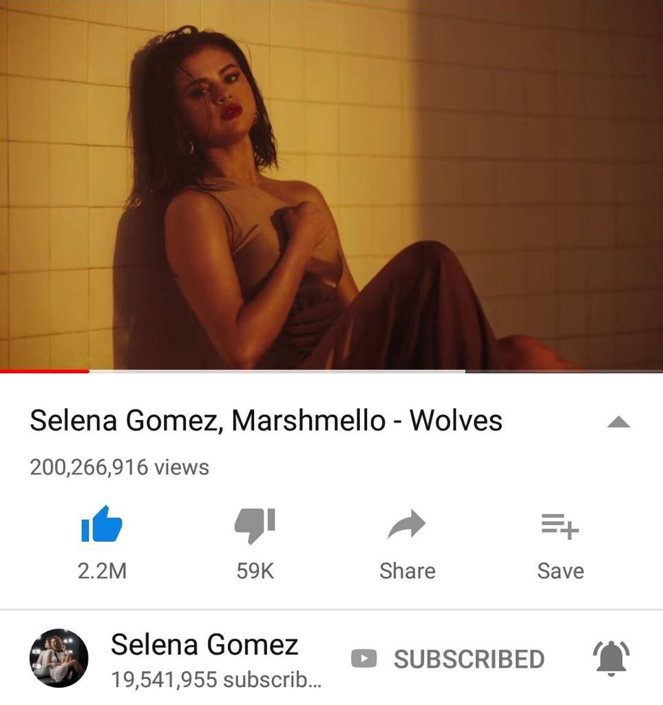 wolves selena gomez music video