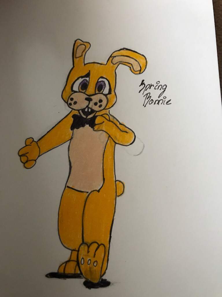 Springbonnie Fnaf Amino Espa Ol Amino