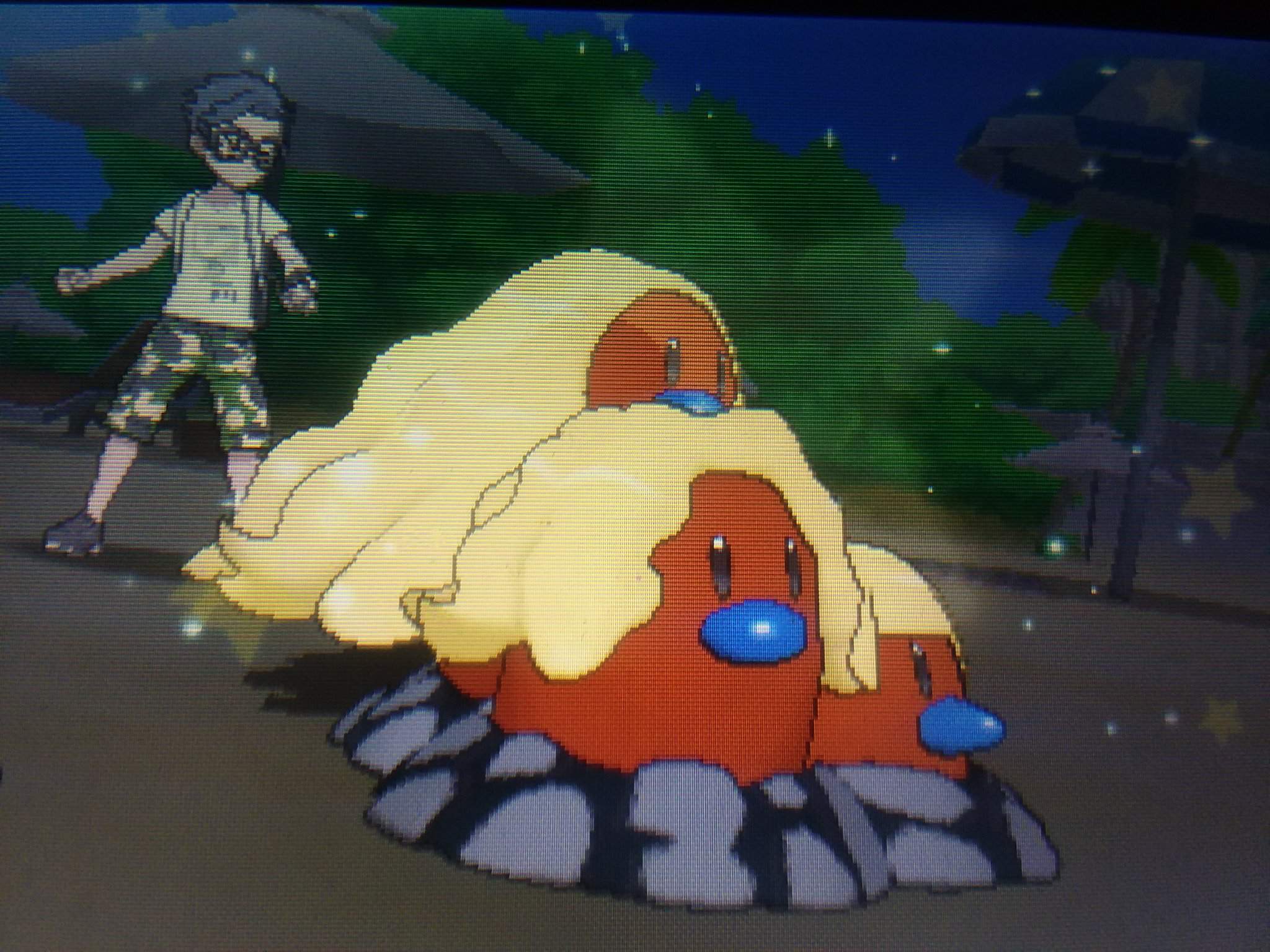 SOS Shiny Alolan Dugtrio Gets A Summer Tan Shiny Pokemon Amino Amino