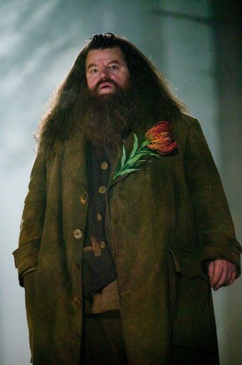 Rubeus Hagrid | Wiki | Harry Potter (FR) Amino