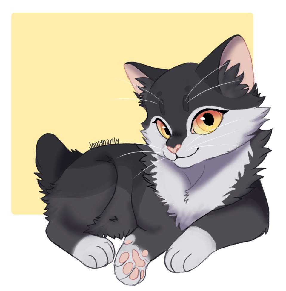 warrior cats willowkit