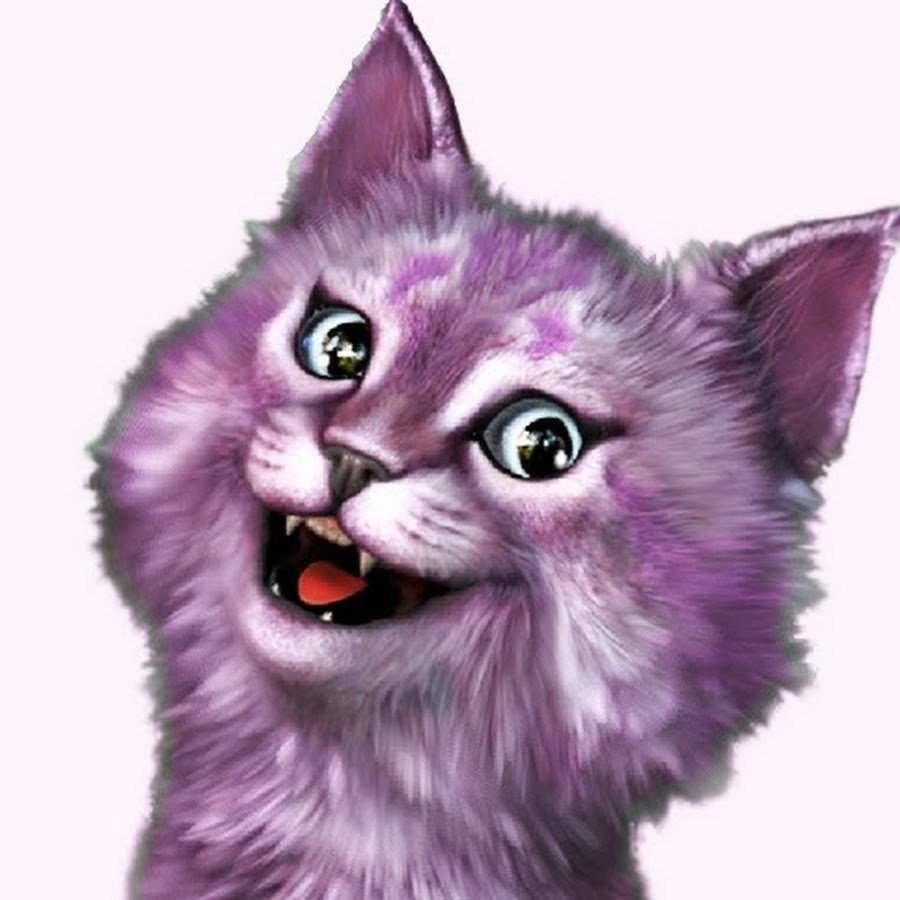 Кошка Лана | Wiki | Приготовление Сладкого Amino