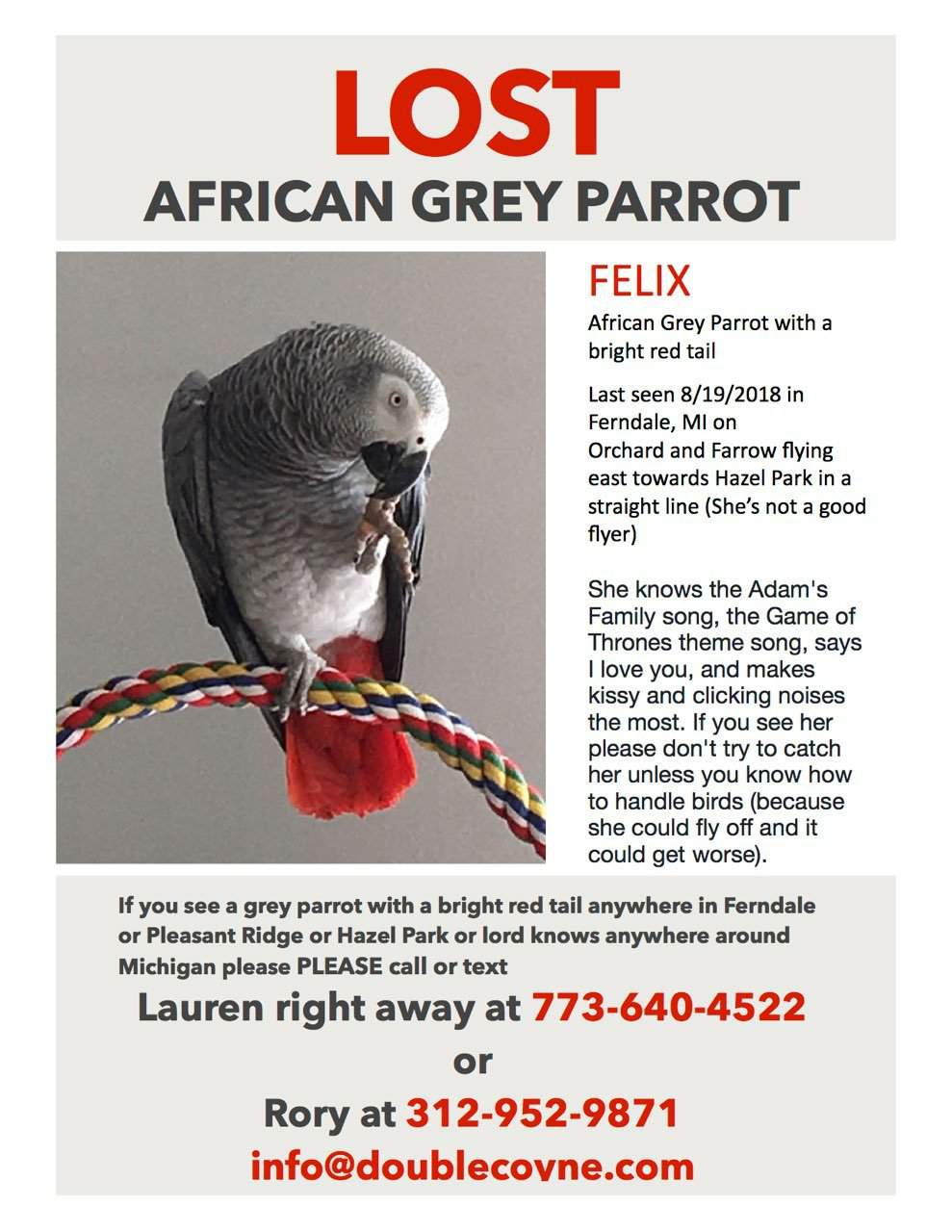 The Mystery of the African Gray #22