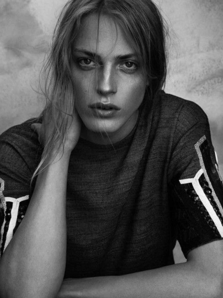 Давид | Wiki | Коты Воители (КВ)😘😍 Amino