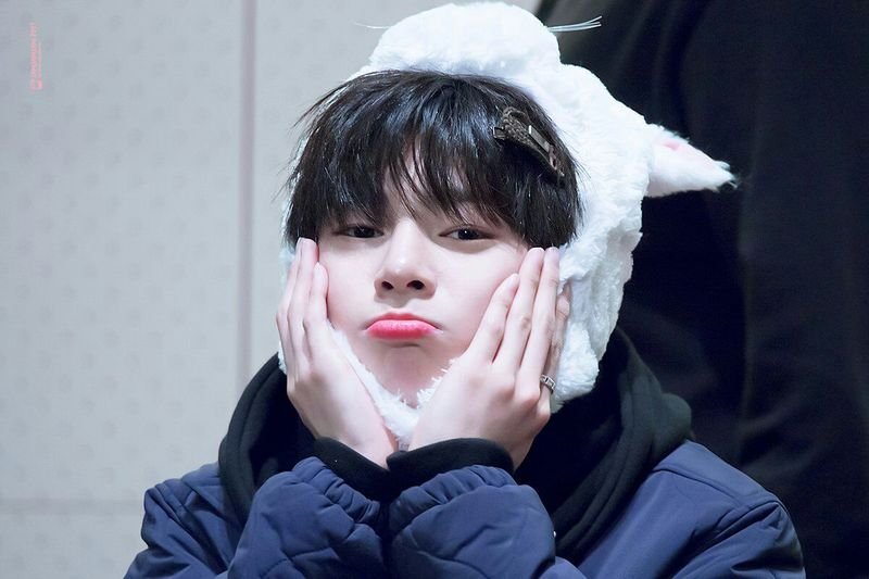 Ян Чонин/Stray Kids | Wiki | 🍀🌺Amino Friend [RUS]🌺🍀 Amino