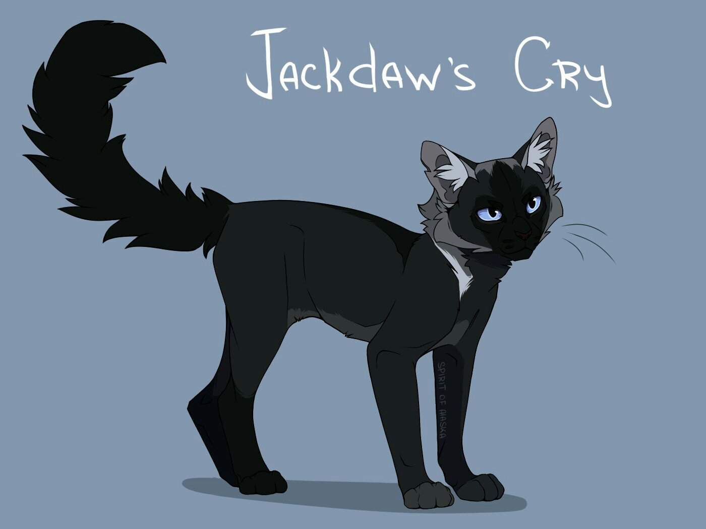 Jackdaw Cry коты Воители