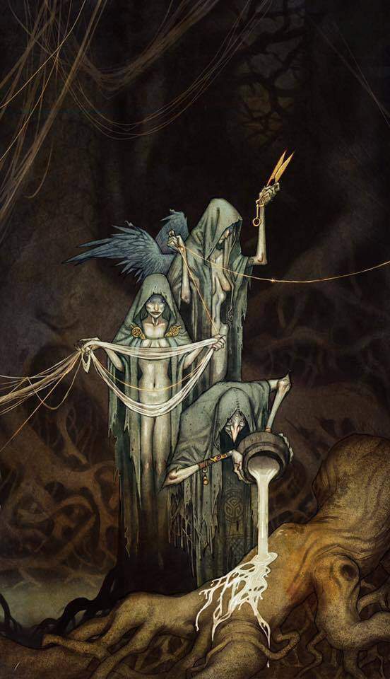 The Norns Norse Amino