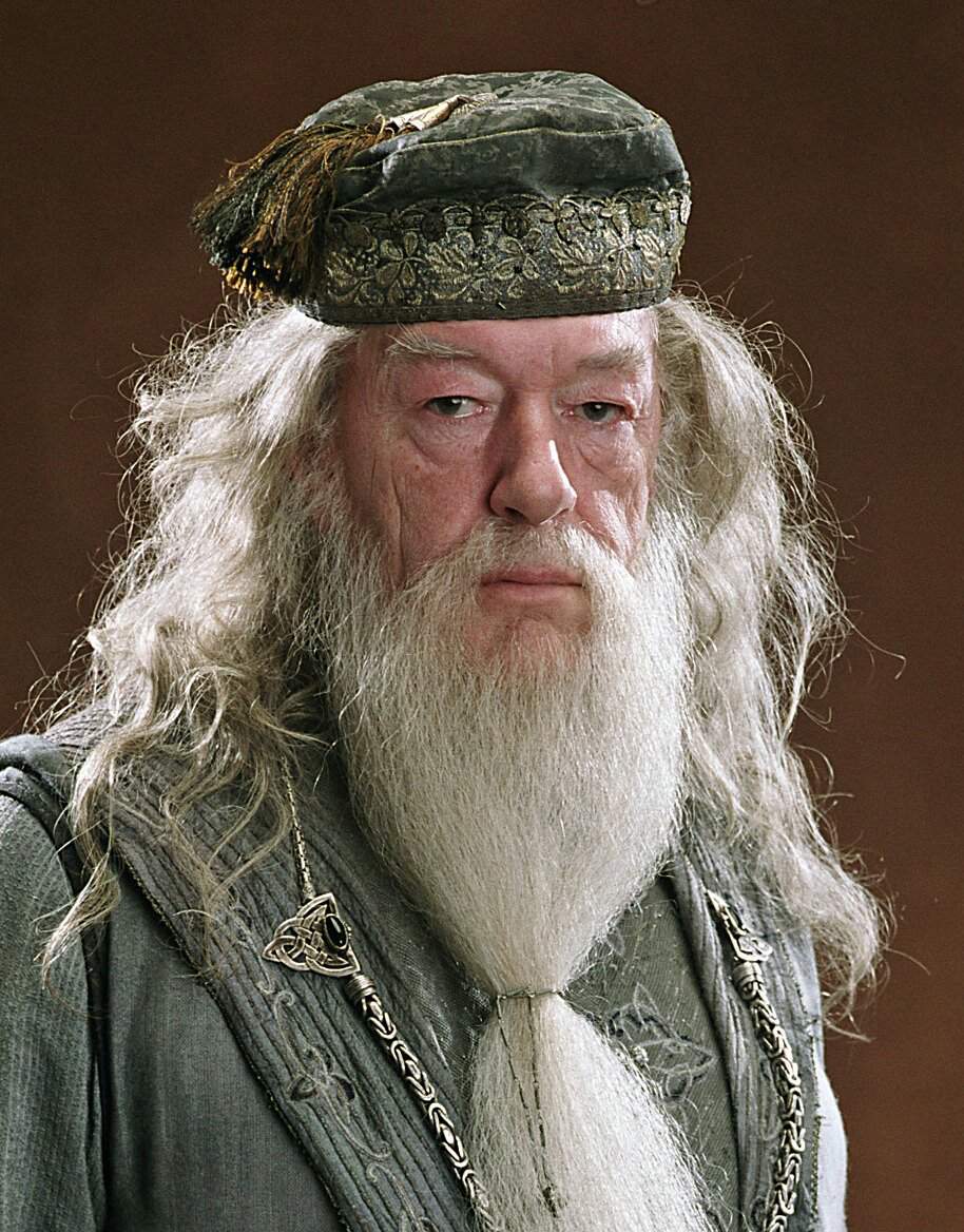 Albus Dumbledore Wiki Harry Potter Fr Amino