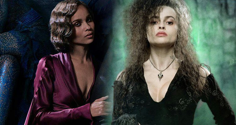 Bellatrix VS Leta Lestrange La Meilleure Lestrange Les Animaux Fantastiques Amino