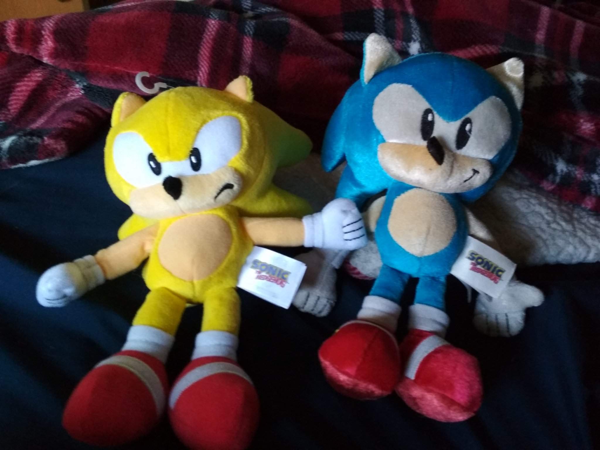 sonic plush the cookie