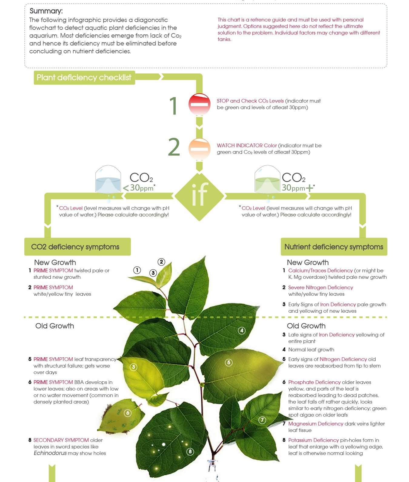 Nutrient Deficiency Guide Aquarium Plant Tips Amino