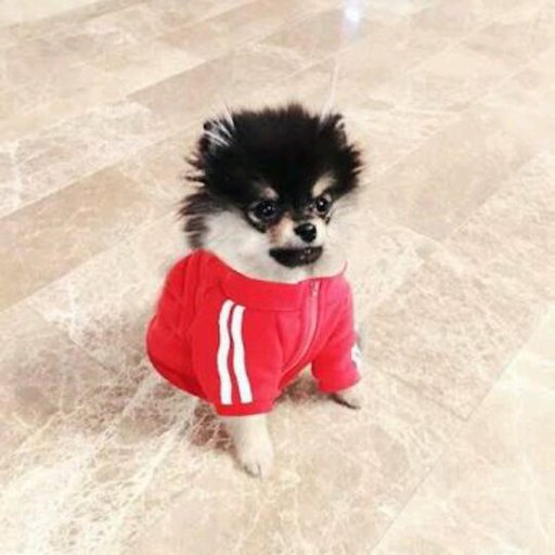 -Yeontan | Wiki | Big Hit Amino Official Amino