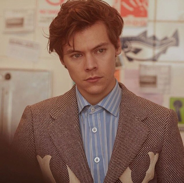 harry styles gucci tailoring