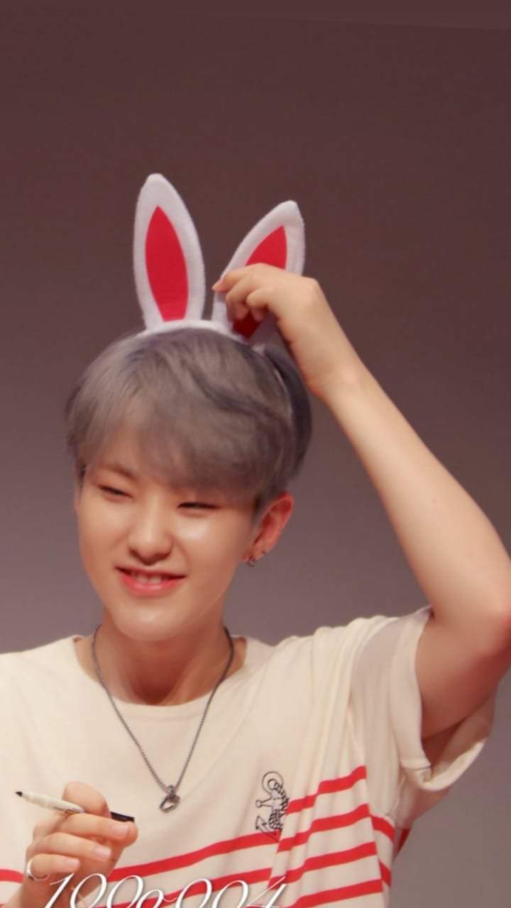 Hoshi Wiki SEVENTEEN Español Amino