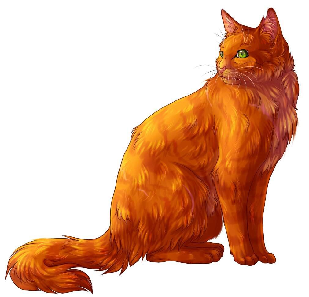 Эрин Хантер "Коты-Воители. Стань диким!" | Wiki | Книжный клуб Amino