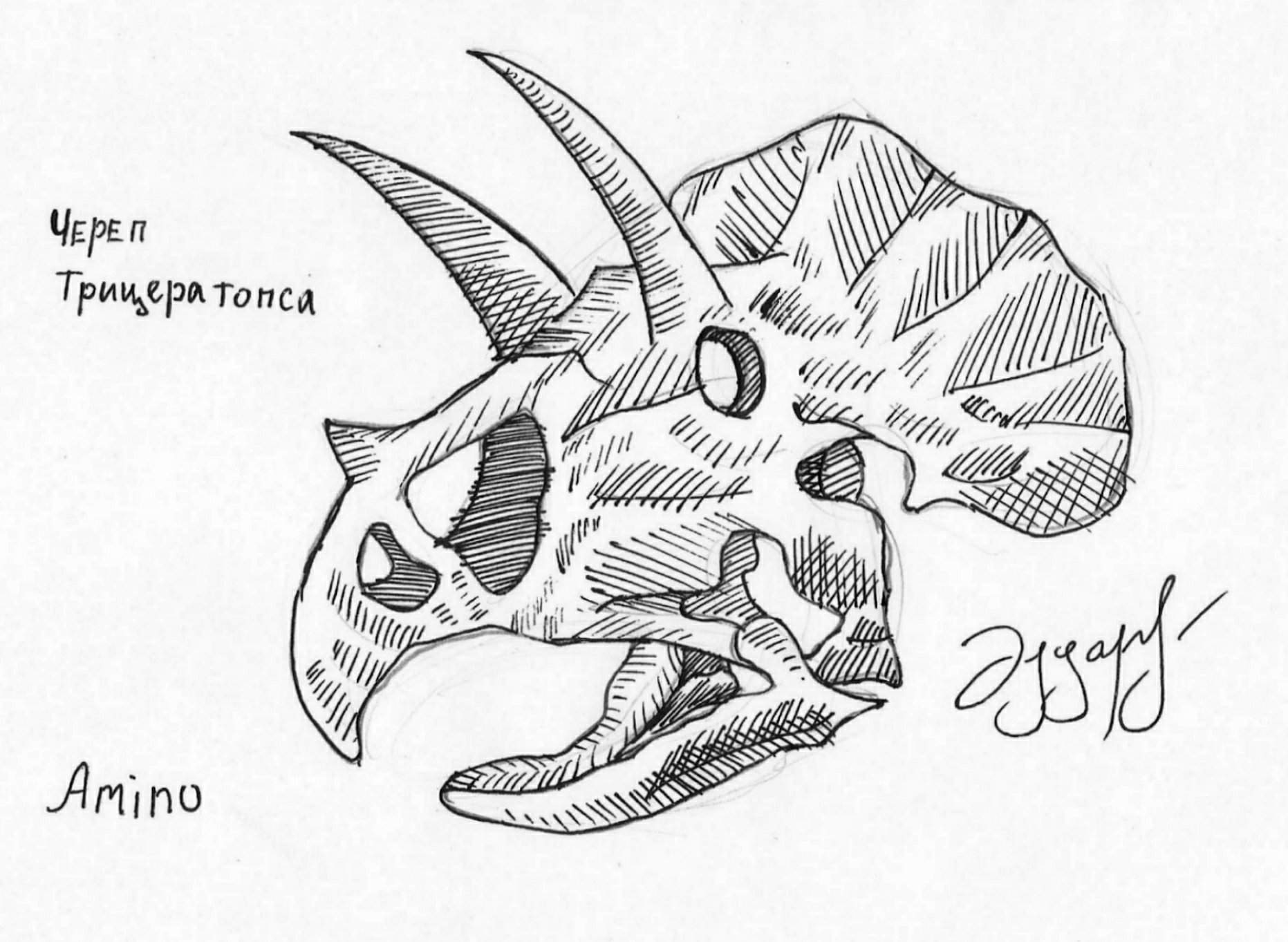 Трицератопс эскиз