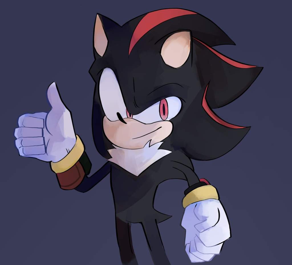 Shadow Exe The Hedgehog X Reader 31 - hq4qps7