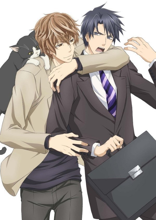 Best yaoi anime 2017