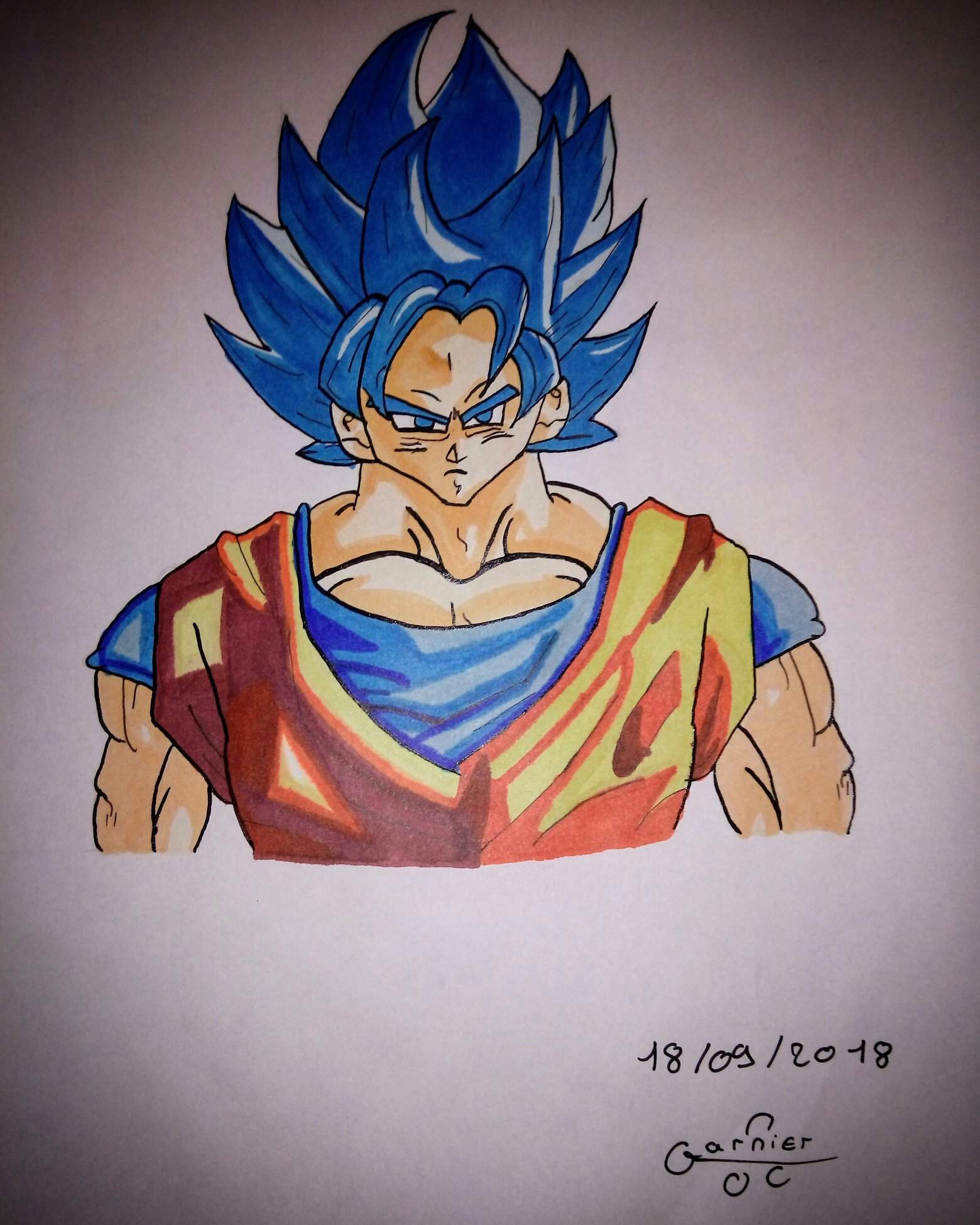 Goku Ssjb Terminé 