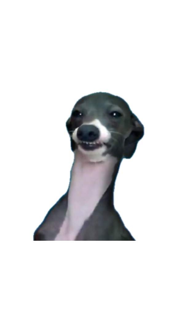 Art Fav Jenna Co Wiki Jenna Marbles Co Amino