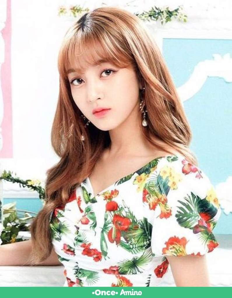 Park Jihyo | Wiki | •Twice Amino• Amino