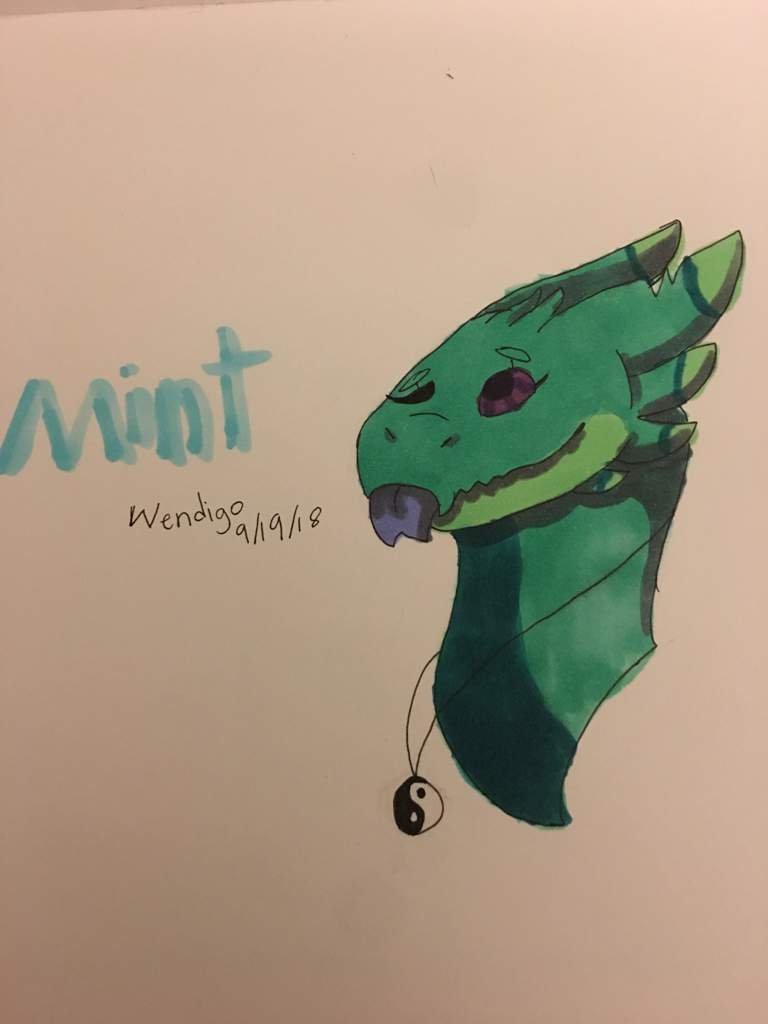 Mint H.T.T.Y.D Amino