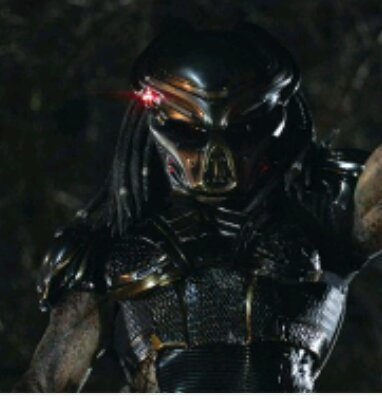 Dacket Wiki Alien Vs Predator Universo Amino