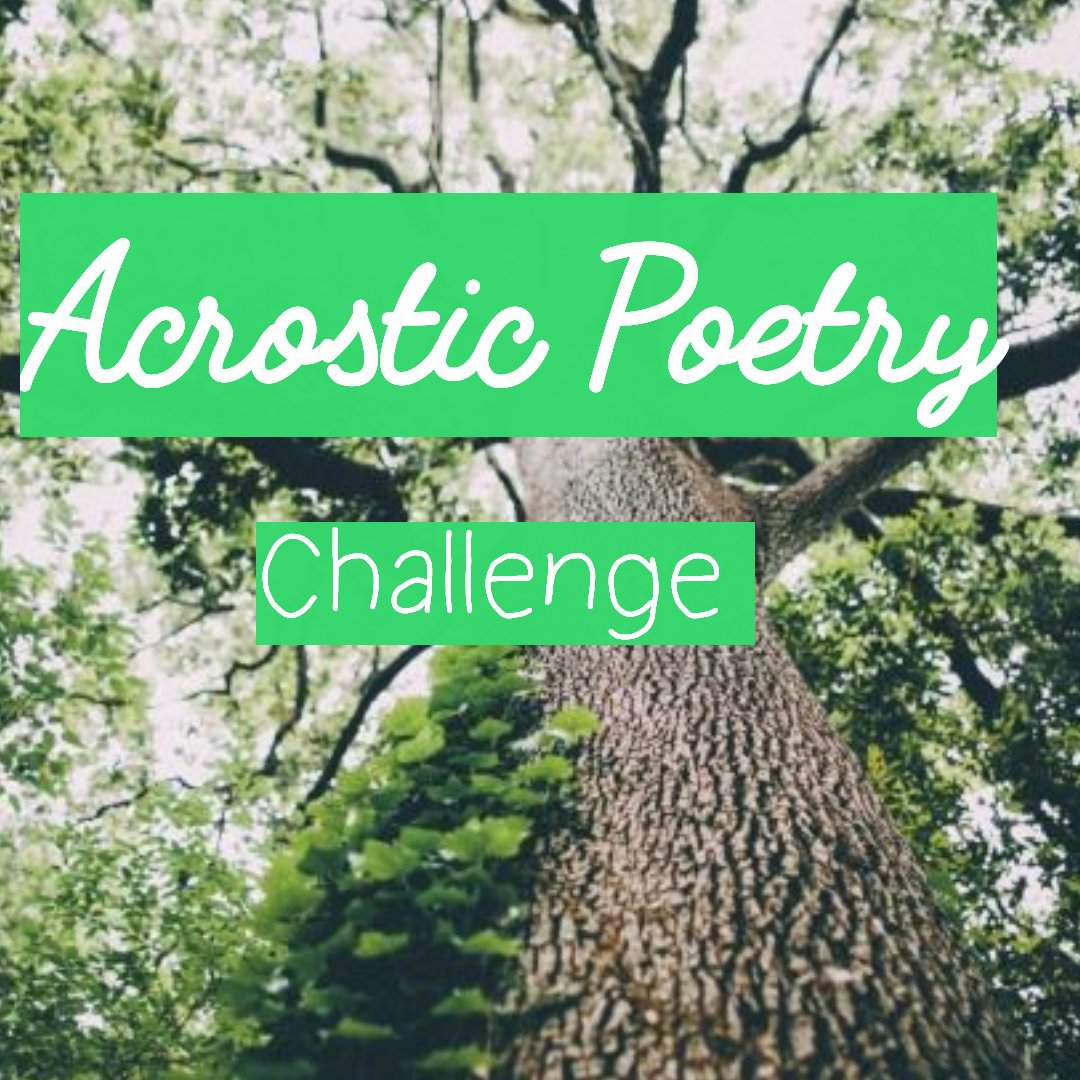 Acrostic Poetry Challenge Sarah J Maas Amino