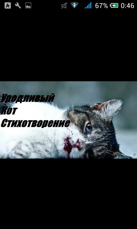 Стихотворение уродливый кот