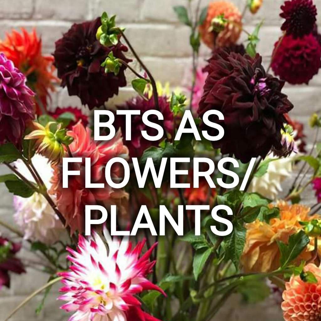 BTS AS FLOWERS/PLANTS KPop Amino