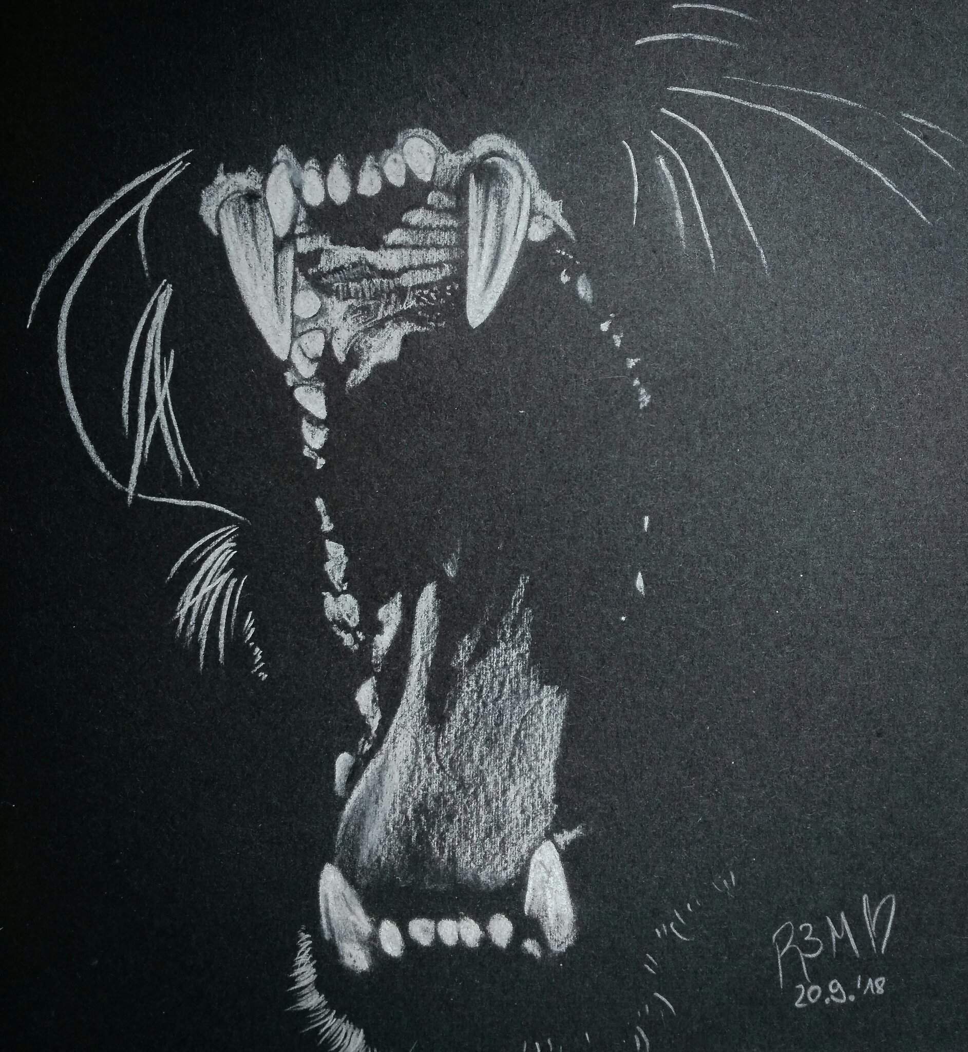 lion teeth drawing