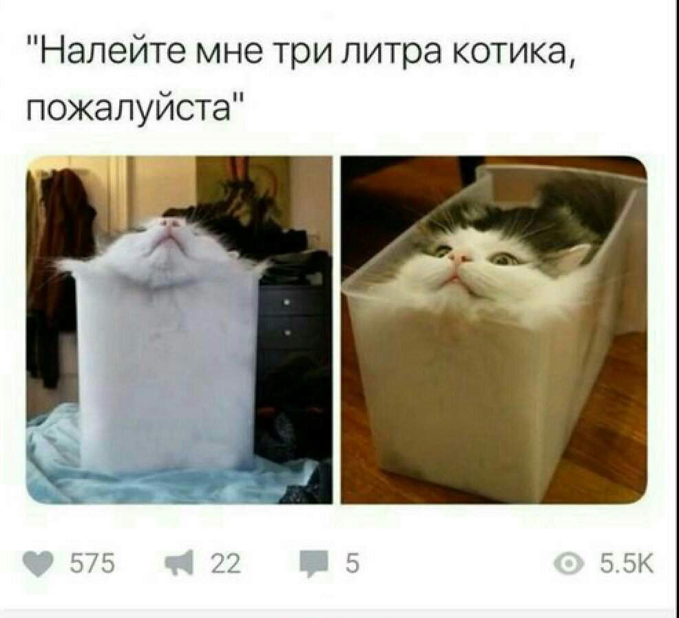 Милые мемы🌚 | \(★ω★)/ МЕМЫ \(★ω★)/ Amino