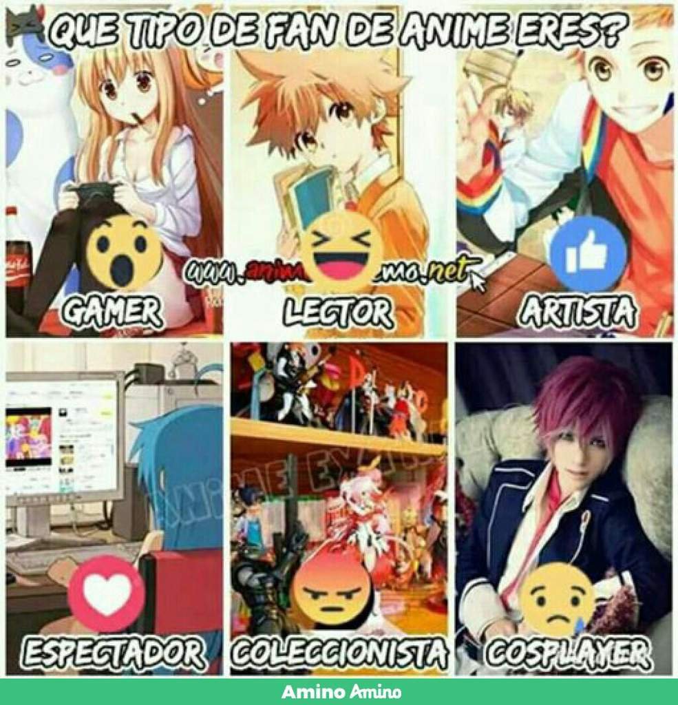 QUE TIPO DE FAN DE ANIME ERES •Anime• Amino