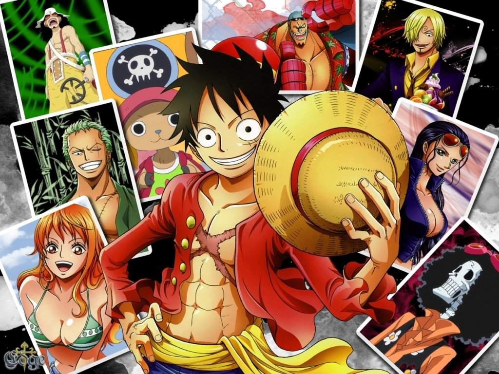 Quel Ordre De Recrutement One Piece Fr Amino