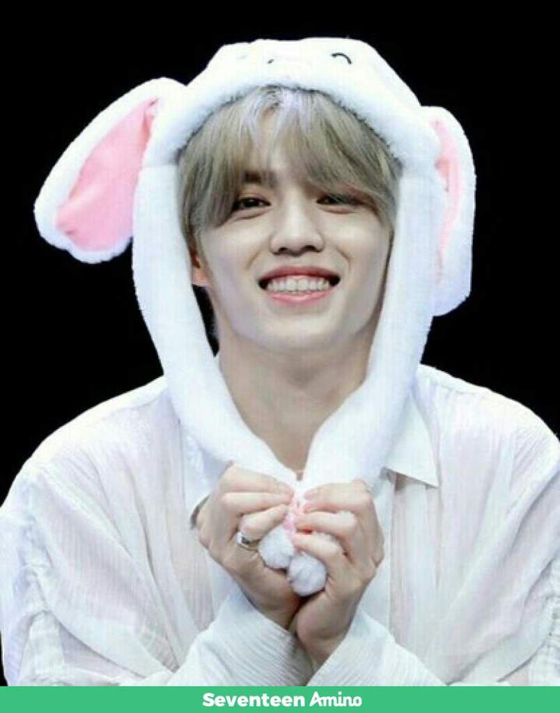 s-coups-wiki-carat-amino