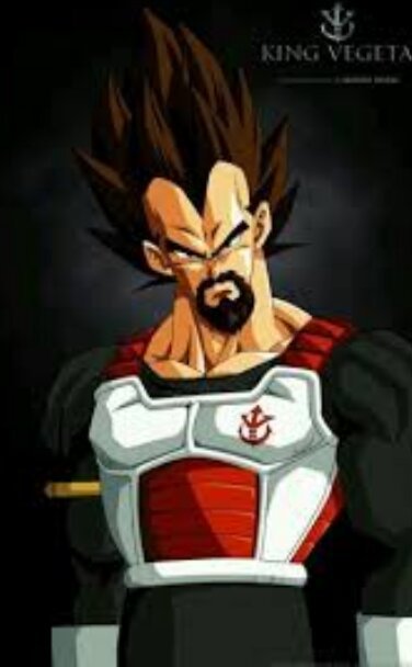 Papai Wiki Dragon Ball Xen Amino