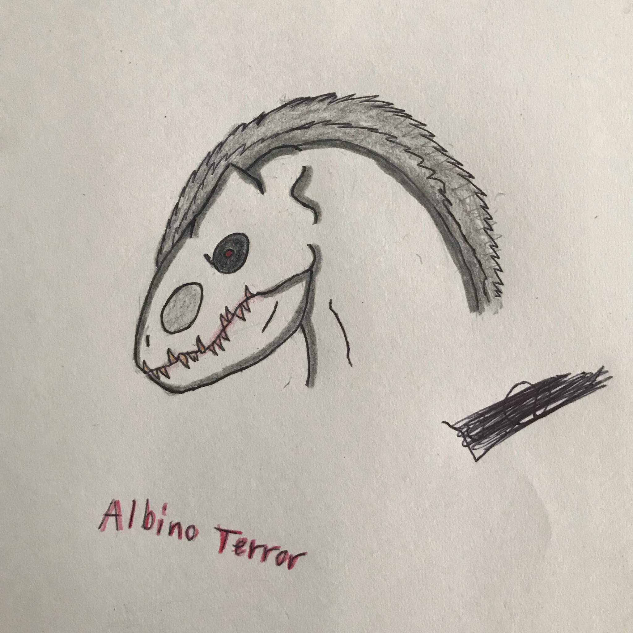 Albino Terror Drawing