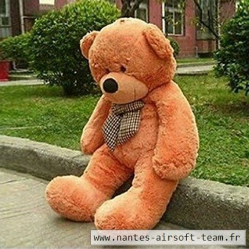 mr nounours