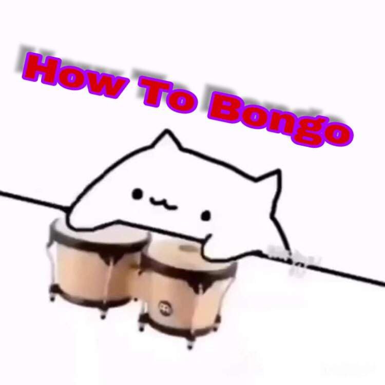 How To Bongo ( Tips For New Bongo Cats ) Bongo Cat Amino